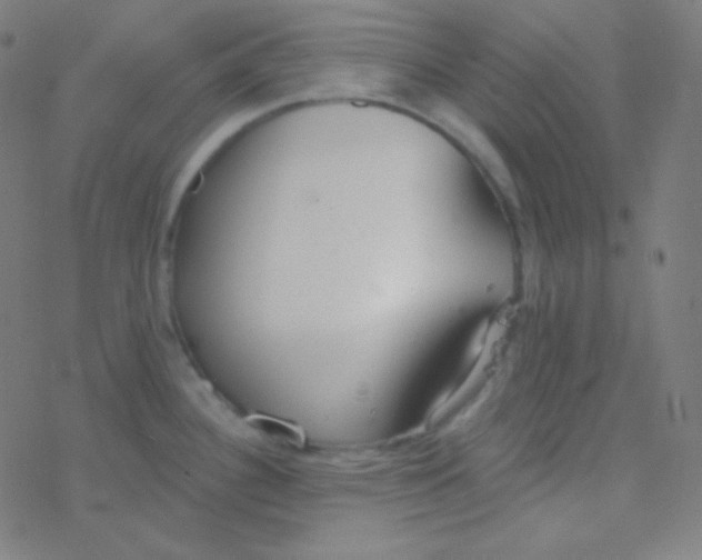 X0000077371340200611101654