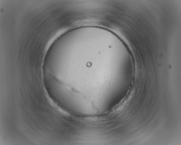 X0000077371341200611101654