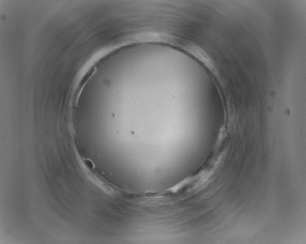 X0000077371342200611101655