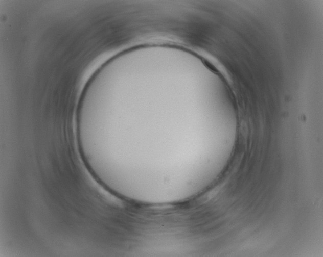 X0000077371343200611101655