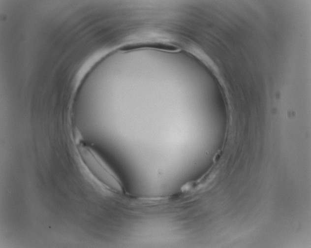 X0000077371344200611101655