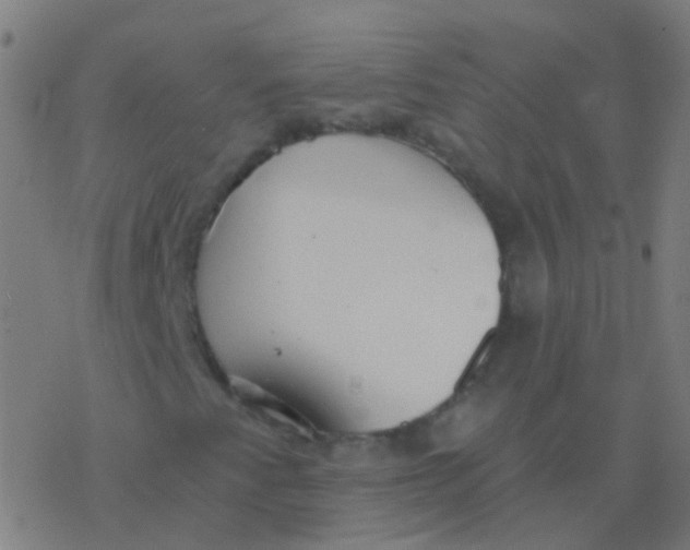 X0000077371345200611101654