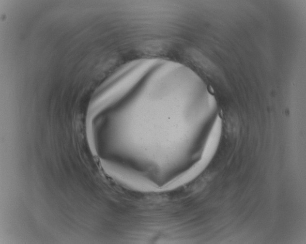 X0000077371346200611101654