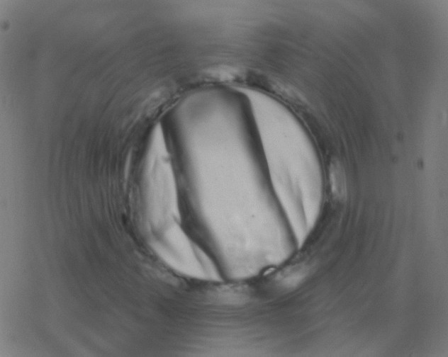 X0000077371347200611101654