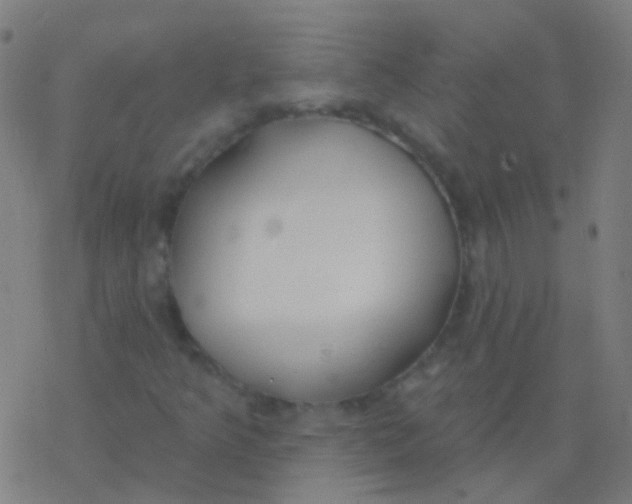 X0000077371349200611101654