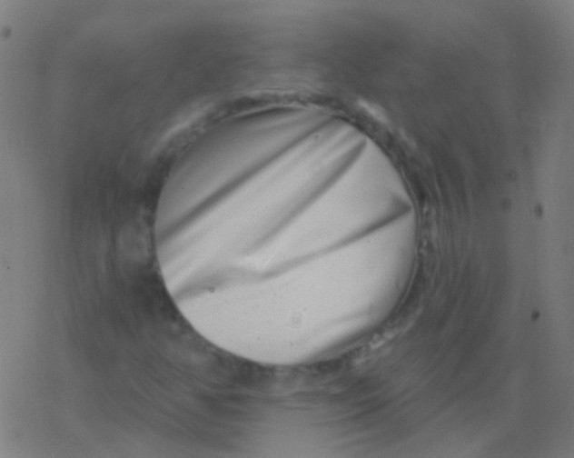 X0000077371350200611101654