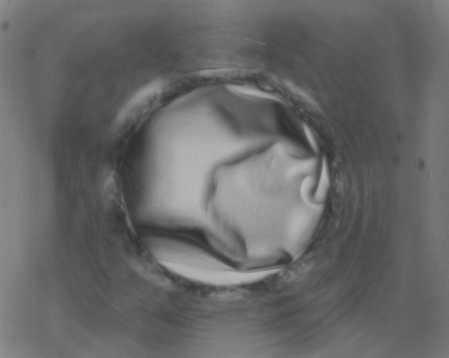 X0000077371351200611101654