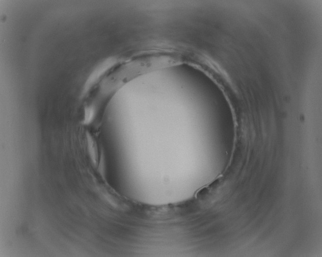 X0000077371352200611101654