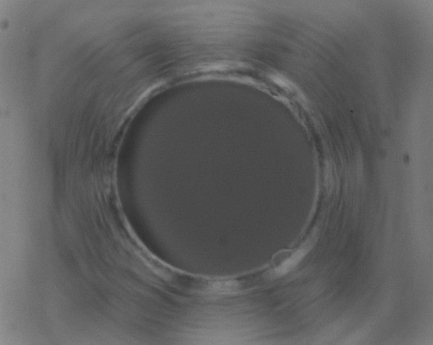 X0000077371353200611101654