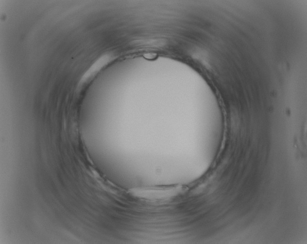 X0000077371354200611101654