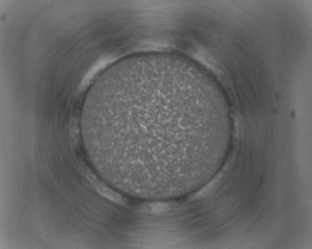 X0000077371355200611101654