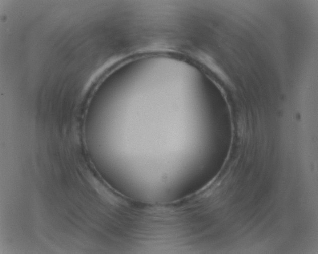 X0000077371356200611101654