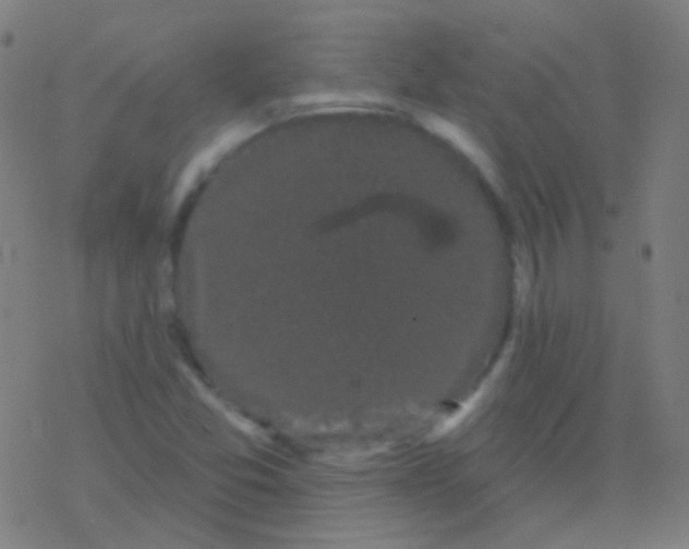 X0000077371357200611101654