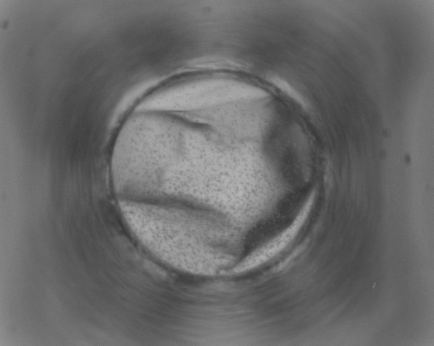 X0000077371358200611101654