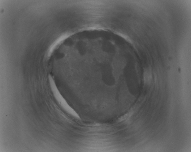 X0000077371359200611101654