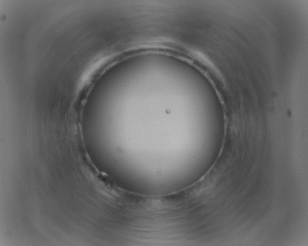 X0000077371360200611101654