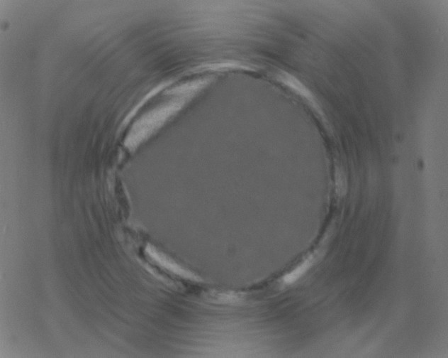 X0000077371361200611101654