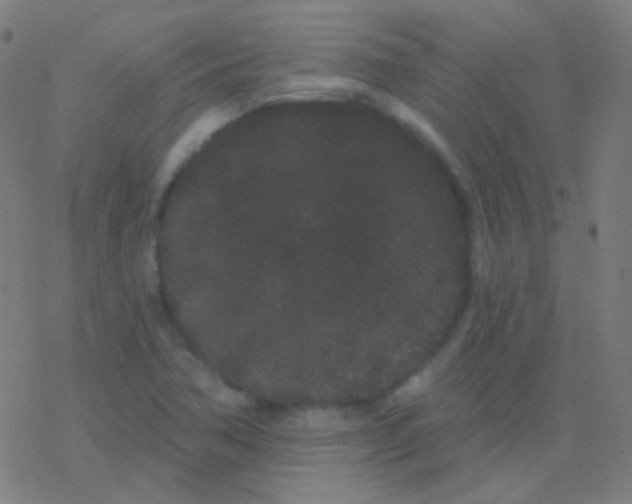 X0000077371362200611101653