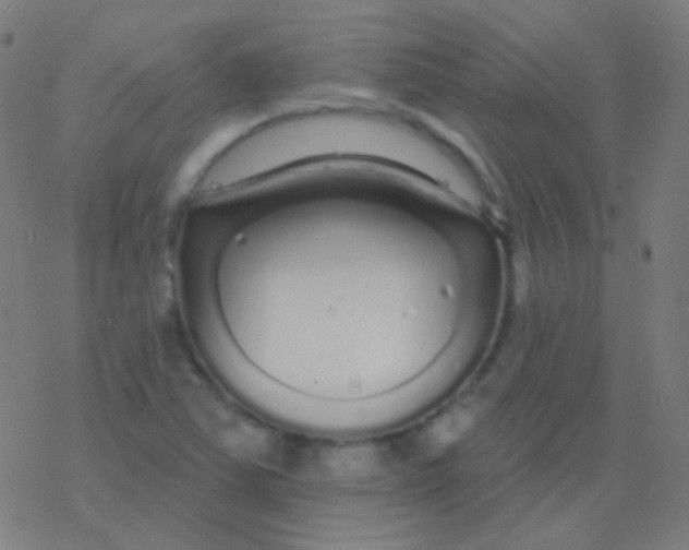 X0000077371363200611101653