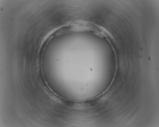 X0000077371364200611101653