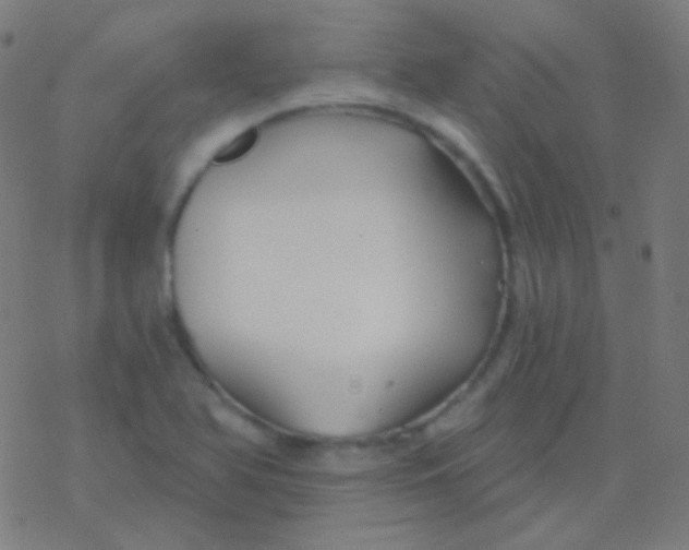 X0000077371366200611101653