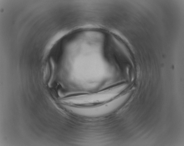 X0000077371367200611101653