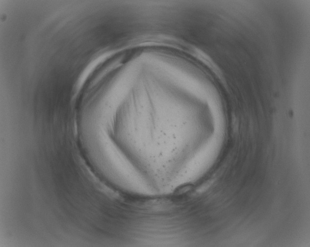 X0000077371368200611101653