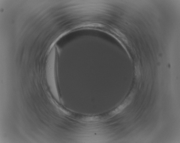 X0000077371369200611101653