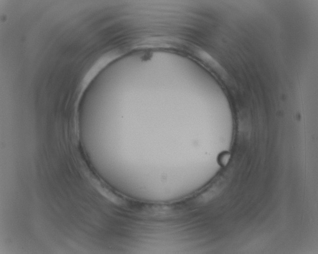 X0000077371370200611101653