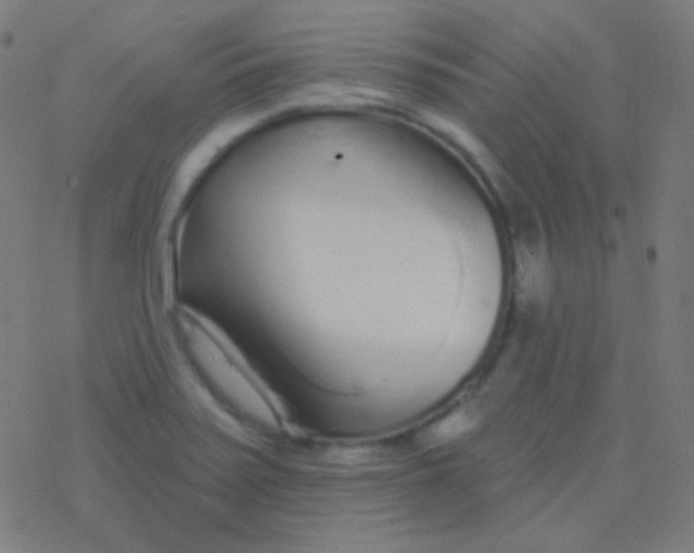 X0000077371371200611101653