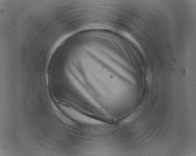 X0000077371372200611101653