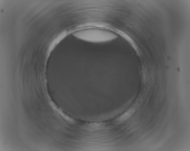 X0000077371373200611101653