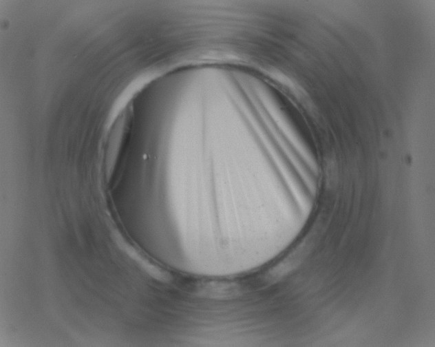 X0000077371374200611101653