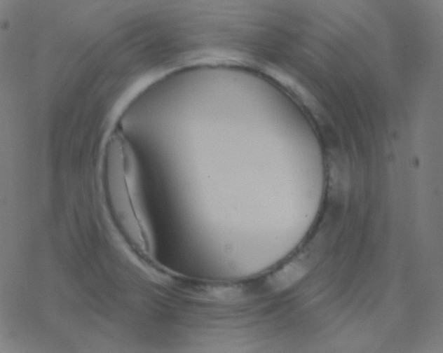 X0000077371375200611101653