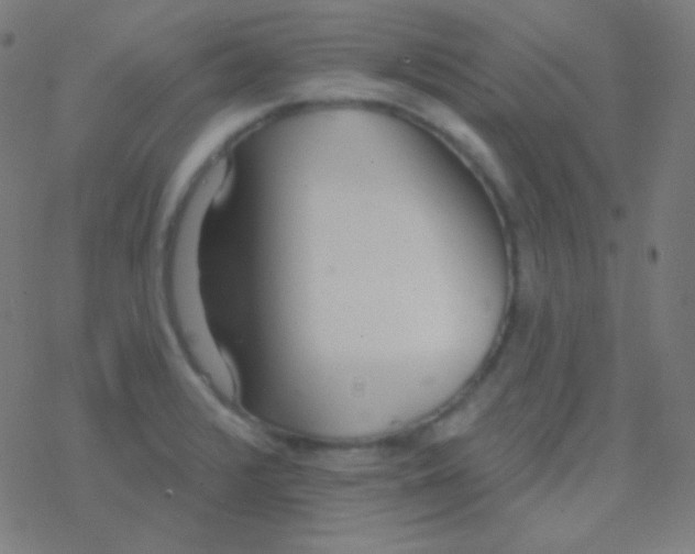 X0000077371376200611101653