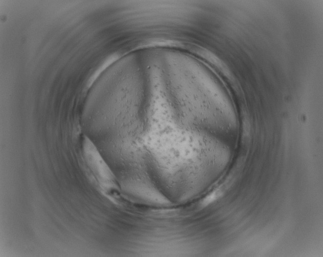 X0000077371377200611101653