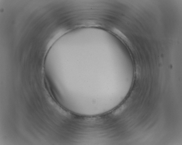 X0000077371378200611101653