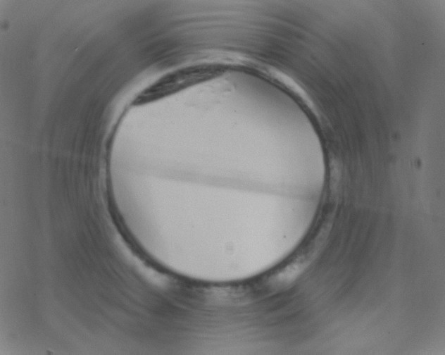 X0000077371379200611101653