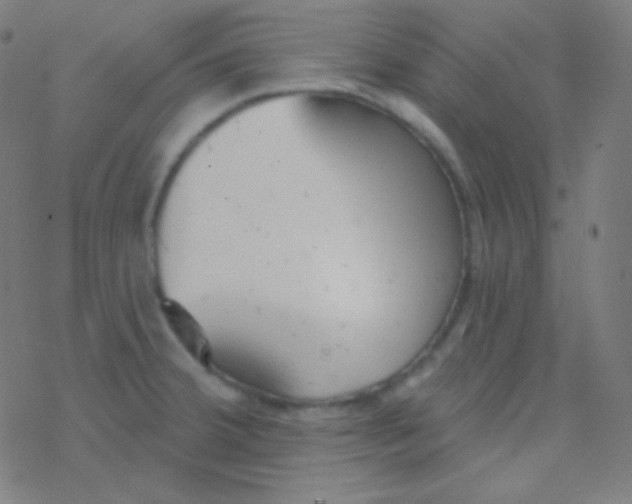 X0000077371380200611101653