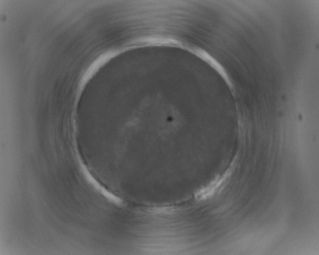 X0000077371381200611101653