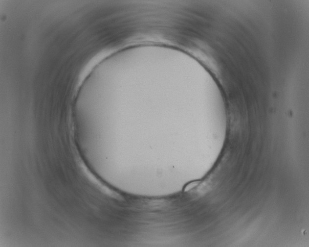 X0000077371382200611101653