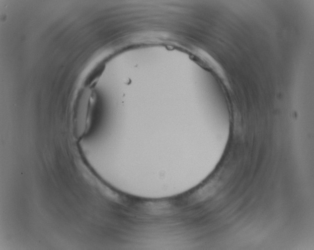 X0000077371384200611101653