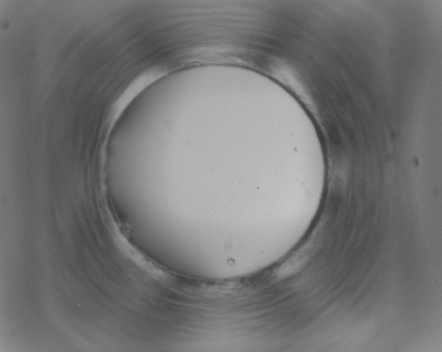 X0000077371386200611101653