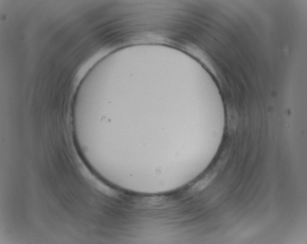 X0000077371387200611101653