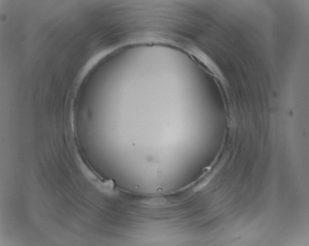 X0000077371388200611101653