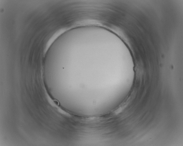 X0000077371390200611101653