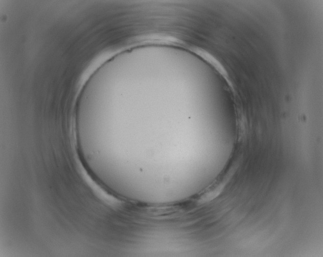 X0000077371391200611101653