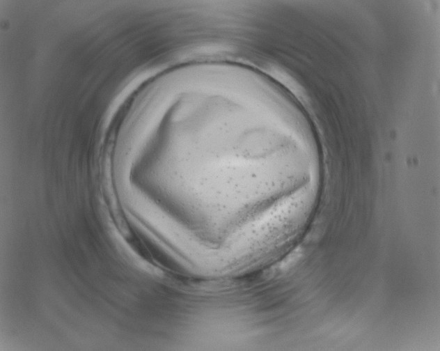 X0000077371392200611101653