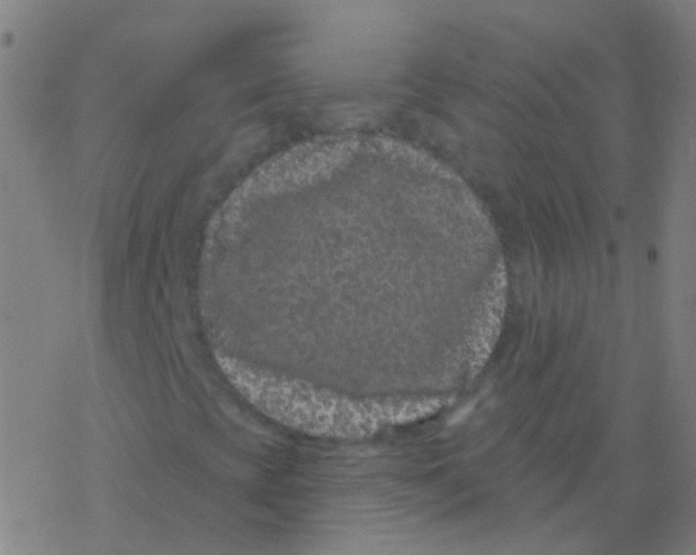 X0000077371393200611101652