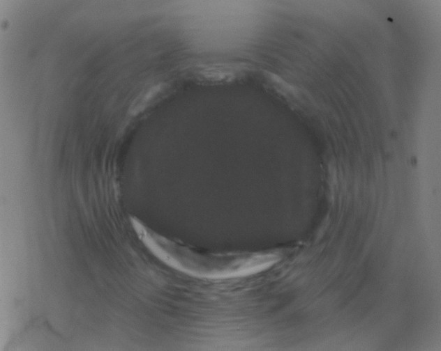 X0000077371394200611101652